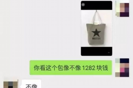 /img/2411.png/img/2411.png有些律所专门做催收：背后的原因与影响/img/2411.png/img/2411.png